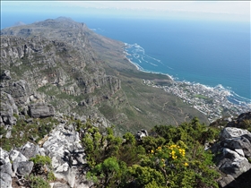 Table Mountain